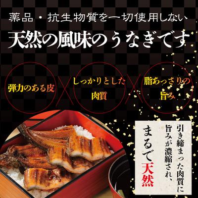 ふるさと納税 四万十市 四万十川優化イオンうなぎ　蒲焼2尾入り(ボイル肝、たれ付き) R5-006