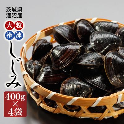 ふるさと納税 大洗町 涸沼産 大粒 冷凍シジミ 1.6kg(400g×4袋)