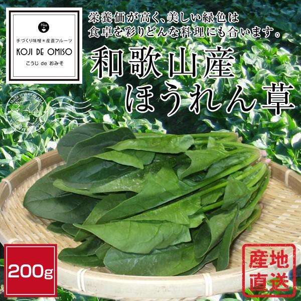 産地直送！ 和歌山産 ほうれん草 200g ■期日指定不可・翌日受取限定：お届け時間帯ご注意ください■