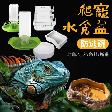宏洋水族【爬蟲食盆／爬蟲水盆】餵食盆 餵食碗 守宫食盆 水龜 陸龜 防逃食盆 陶瓷食盆 防逃逸 烏龜 守宮 角蛙 蜥蜴