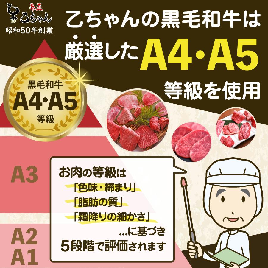 めす牛 サーロインステーキ 400g (200g×2枚) 焼肉 国産 牛肉 黒毛和牛 A4 ランク 高級 ギフト 2023  お取り寄せグルメ