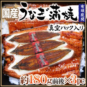 国産 ”うなぎ蒲焼” 約180g前後×3pc 真空パック入り 山椒・タレ付き ウナギ 鰻 頭有腹開 送料無料