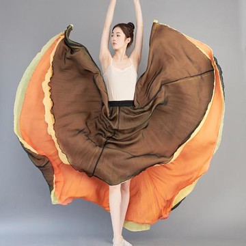 古典舞蹈服女三層仙氣飄逸大擺裙中國舞練功紗裙冬季藝考長半身裙