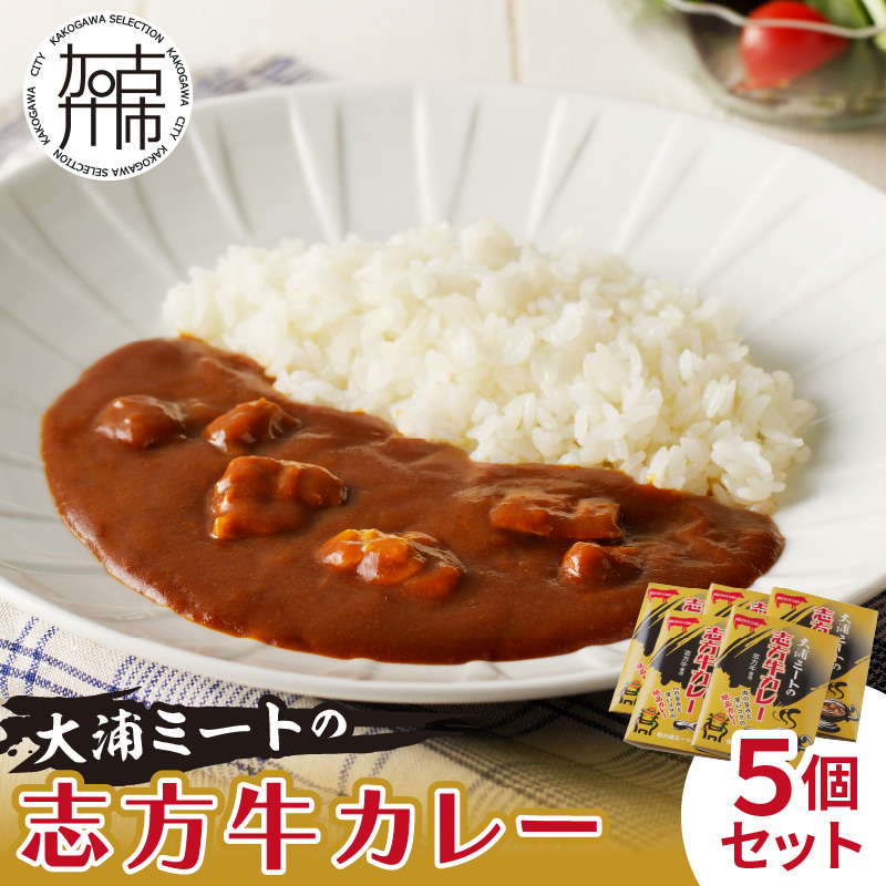 大浦ミートの志方牛カレー　5個セット