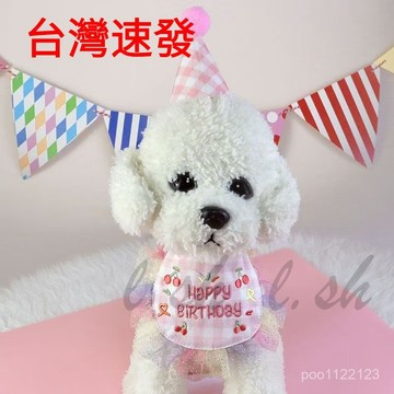 台灣出貨 韓版 寵物慶生 寵物生日套裝 寵物圍巾 寵物圍兜 寵物領巾 狗狗領巾 寵物口水巾 狗領巾 寵物生日禮物
