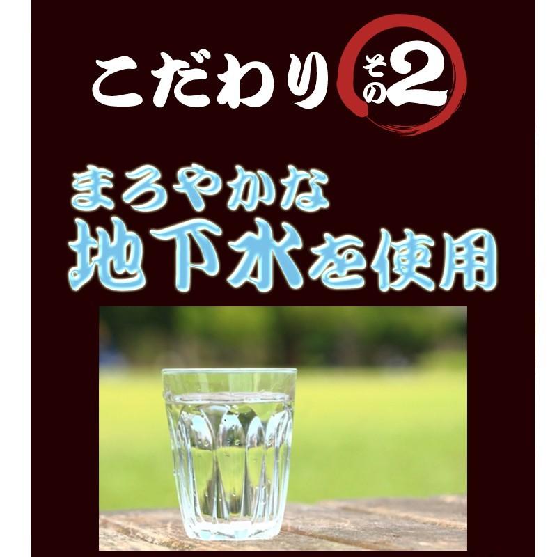 そば 天ぷらそば 5食入り かけそば 鰹ダシ 日高昆布 天ぷら付き 年越しそば 常温保存 簡単調理 まとめ買い 高砂食品 冬季限定