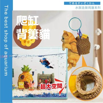 魚寶貝【背簍貓裝飾掛件】水族造景 樹脂模型 工具收納 缸壁擺件 魚缸收納 魚缸布置 園藝造景 多肉 盆栽 魚缸缸壁掛飾