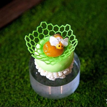 六邊形 蜂巢網格 加厚食品級硅膠模具 分子料理法餐創意蜂窩盤飾