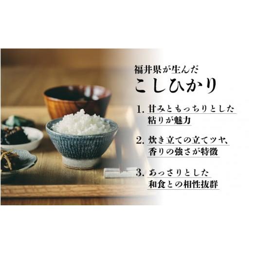 ふるさと納税 福井県 鯖江市 令和5年産 コシヒカリ 10kg (5kg×2袋）× 6回   計60kg （4月上旬、5月上旬、6月上旬、7月上旬、8月上旬、9…