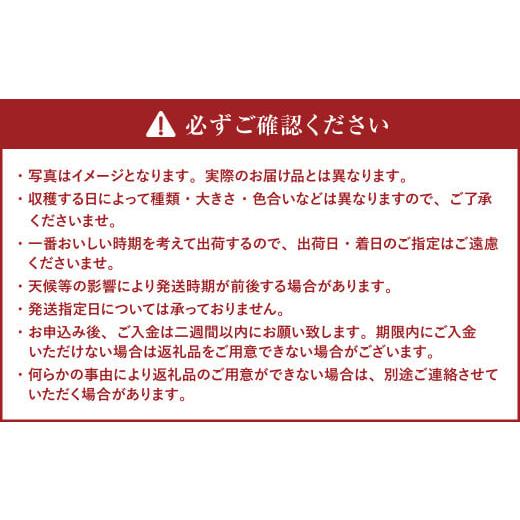 ふるさと納税 北海道 北広島市 新じゃが きたあかり 約5kg