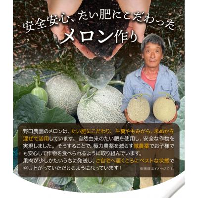 ふるさと納税 当別町 メロン(赤肉・青肉)