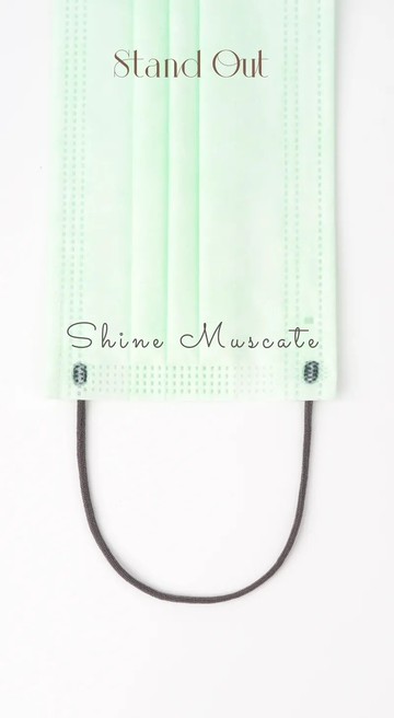 LEVEL 3 成人醫用口罩– 香印 (50片)