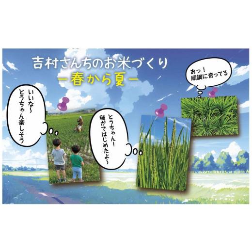 ふるさと納税 新潟県 十日町市 ｜従来品種｜ 魚沼産 コシヒカリ 2kg  米 こしひかり お米 コメ 新潟 魚沼 魚沼産 白米 送料無料 新潟県産 精米 産直 農家直送 …