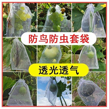 🏆台灣優選好物🎁防鳥防蟲尼龍網袋葡萄套袋子番茄枇杷桃子水果套袋草莓透氣專用袋