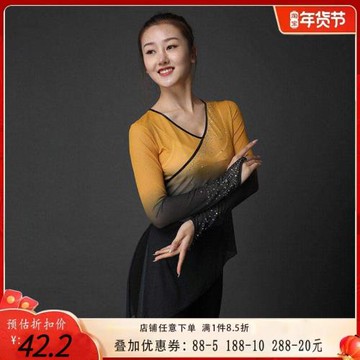 古典舞女成人身韻舞蹈紗衣飄逸仙氣網紗過度色演出練功服