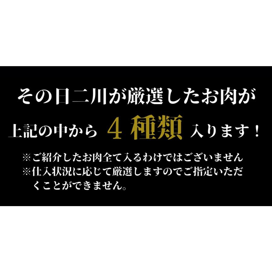 お歳暮 ギフト 黒毛和牛 高級 焼肉セット 4点食べ比べ 焼き肉 900g(450g×2パック) 霜降り 国産 牛肉 和牛 焼肉 BBQ バーベキュー 人気 誕生日プレゼント 贈り物