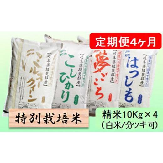 ふるさと納税 岐阜県 池田町 令和５年産　特別栽培米★[定期便] 4カ月★毎月 精米10kg（白米／5分／7分ツキ可）【ミルキークイーン・コシヒカリ・夢ごこち・ハ…