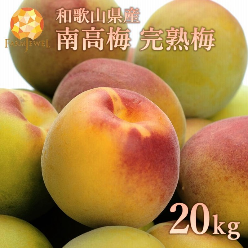 南高梅 完熟梅 20kg 和歌山県産 南部産 紀州 南高梅 生梅 梅干し