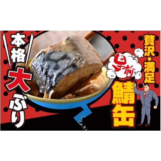 ふるさと納税 福井県 小浜市 鯖水煮缶詰12缶セット 180g×12缶