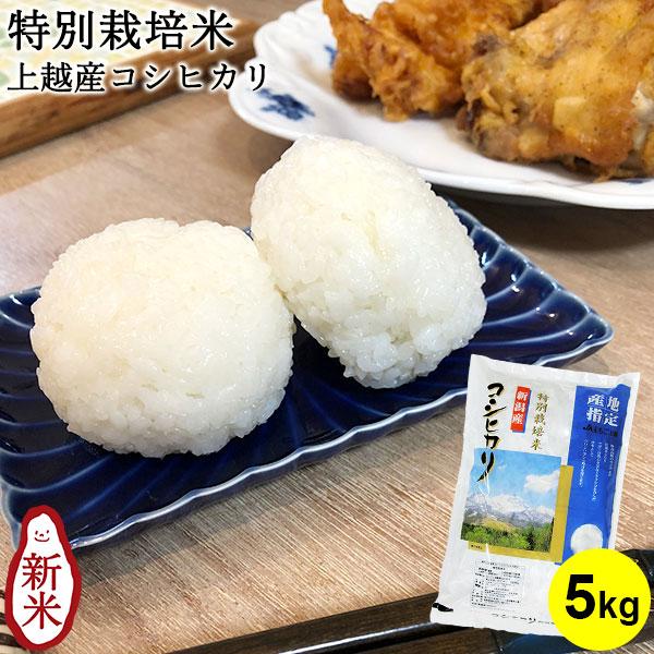 お米 5kg 送料無料 特別栽培米 上越産コシヒカリ 新潟米 JAえちご上越  ギフト 内祝い