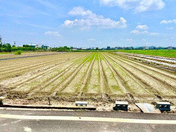 橋頭★臨路面寬12米優良水稻田農地┃近高雄大學｜高雄市橋頭區頂塩田段