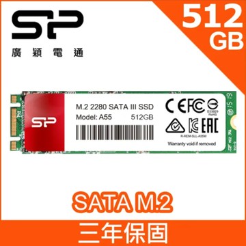 SP廣穎 M.2 2280 A55 512GB SSD 固態硬碟