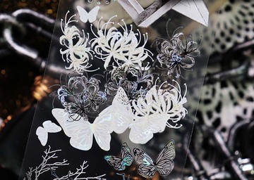 鎏光 聖堂詠嘆 PET 紙膠帶 貝殼光 5米卷