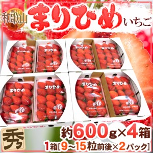 和歌山県 ”まりひめいちご（毬姫苺）” 秀品 2パック入り（1パック 9～15粒 約300g）×《4箱》 送料無料