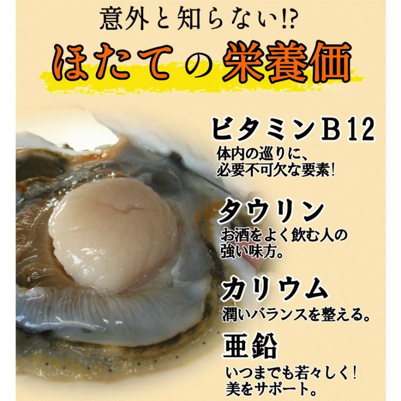 送料無料】ホタテ干し貝柱 訳あり たっぷり60g 青森県陸奥湾産 複数で