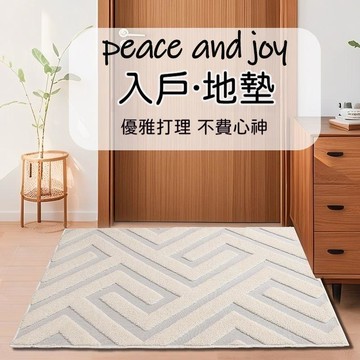 台灣出貨 地墊 玄關地墊 吸水地墊 浴室地墊 房間地墊 地墊房間 地毯客廳 床邊地毯 臥室地墊 藍色地墊 大門地墊