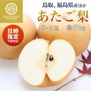 [予約 2023年 12月1日-12月31日の納品] あたご梨 約5kg 5-9玉 鳥取 福島産他 愛宕梨 愛宕 和梨 初冬 冬ギフト 和梨 果物 冬ギフト お歳暮