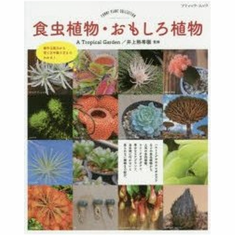 新品本 食虫植物 おもしろ植物 意外な能力から育て方や飾り方までわかる A Tropical Garden 井上熱帯園 監修 通販 Lineポイント最大0 5 Get Lineショッピング