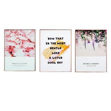 STYLEG時代家居 板畫 有框畫 3件組  39 x 29cm  金采花卉  1組