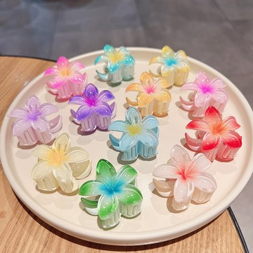隔日到【粉紅菲菲】彩色雞蛋花抓夾甜美少女心花朵髮夾後腦勺盤髮鯊魚夾髮夾女（LD340）38-0234