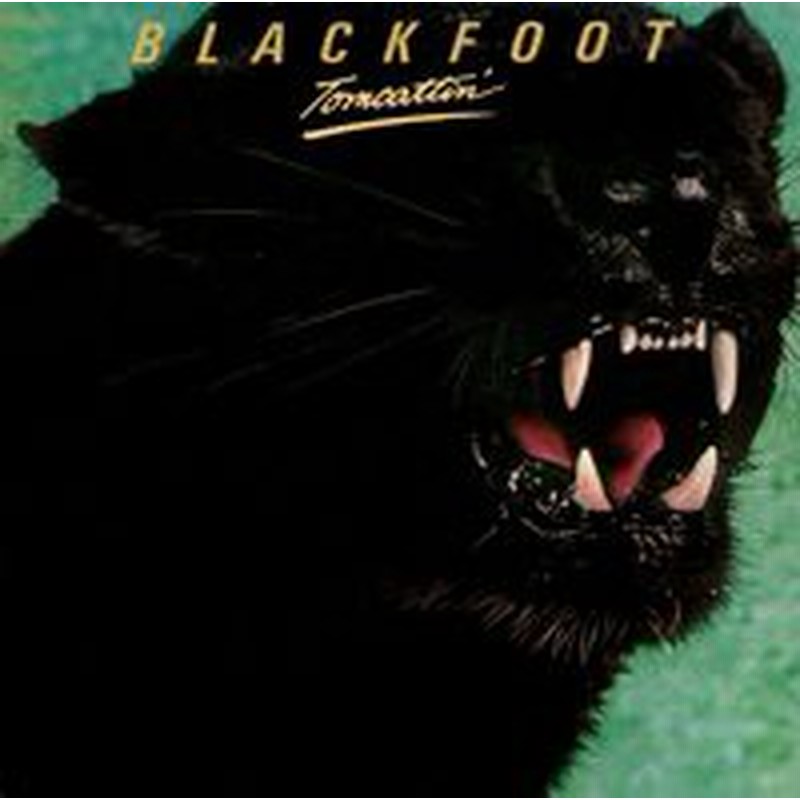 Blackfoot Tomcattin ﾘﾏｽﾀｰ盤 Deluxe Edition 輸入盤cd ブラックフット 通販 Lineポイント最大1 0 Get Lineショッピング