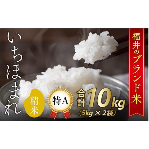 ふるさと納税 福井県 福井市 福井県産いちほまれ 10kg[A-030006