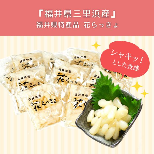 グルメ　福井県産花らっきょ（甘口）60ｇ×10個　お取り寄せ グルメ