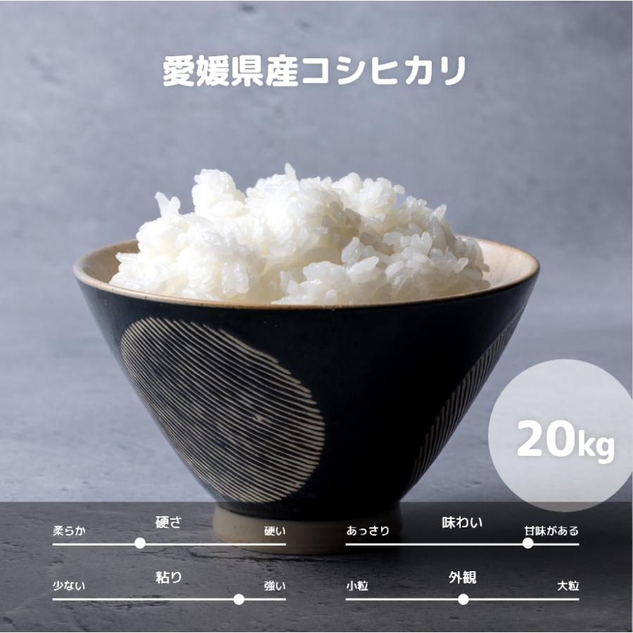  愛媛県産 コシヒカリ 20kg （ 10kg × ） 令和5年産 白米 精米 備蓄米 お米 米 こめ こしひかり コシヒカリ  お米のまるひ マルヒ食糧 国産