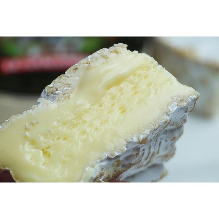 白カビ チーズ カマンベール ド ノルマンディー ガロンド 250g AOP フランス産 毎週水・金曜日発送