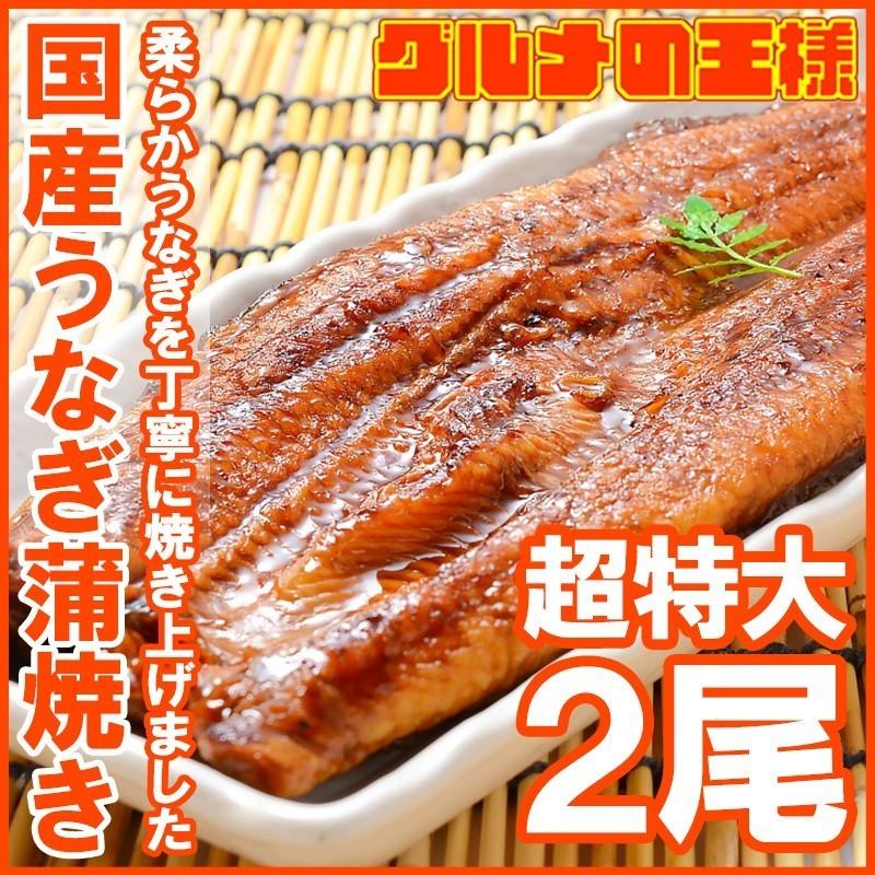 超特大 国産うなぎ蒲焼き 平均250g前後×2尾 タレ付き （国産 うなぎ ウナギ 鰻）