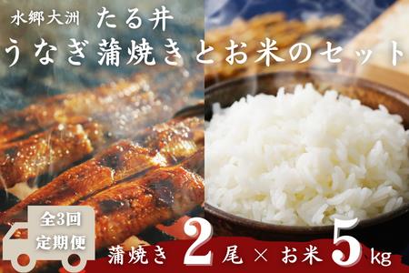  水郷大洲たる井の「国産うなぎ蒲焼き2尾」と大洲産のお米