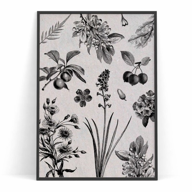 アートポスター 花の北欧ポスター おしゃれ A3 B2 A1 B1 ヴィンテージ ボタニカル 通販 Lineポイント最大0 5 Get Lineショッピング