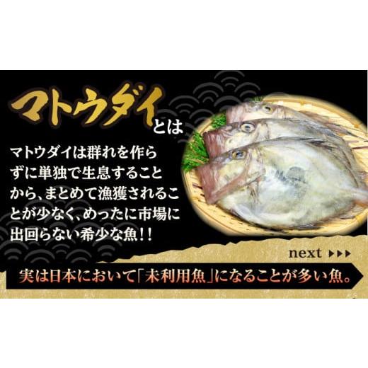 ふるさと納税 長崎県 平戸市 平戸 干物 5種セット 計16枚 平戸市 ／ 井吉水産 [KAA074]