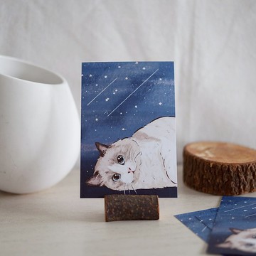星空下的布偶貓 明信片 卡片 布偶貓 貓咪 喵喵