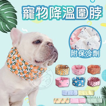 【小狐狸寵物】❤新款式來臨❤寵物涼圍脖 寵物降溫圍脖 附保冷劑 涼感造型圍脖 寵物造型圍脖 寵物涼感圍脖 寵物消暑圍巾