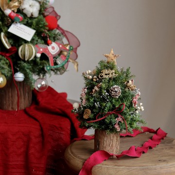 【遇見恆久】聖誕微光日本進口永生不凋雪松聖誕樹