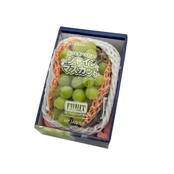 來場頂級饗宴【新鮮屋 FRESCO】日本山梨麝香葡萄PE盒1入禮盒 350G±10%/盒 夏季水果 鮮甜多汁 皮薄無籽 健康 營養 年節送禮 禮品推薦
