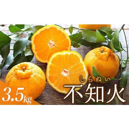 ふるさと納税 不知火 みかん 果物 フルーツ 果物 大容量 家庭用 ご家庭用 人気 蜜柑 サイズ混合 訳あり わけあり デコポン 数量限定    ＼ たっ.. 三重県紀宝町