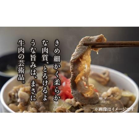 ふるさと納税 飛騨牛切り落とし 500g 和牛 ブランド牛 国産  [TAZ014] 岐阜県多治見市