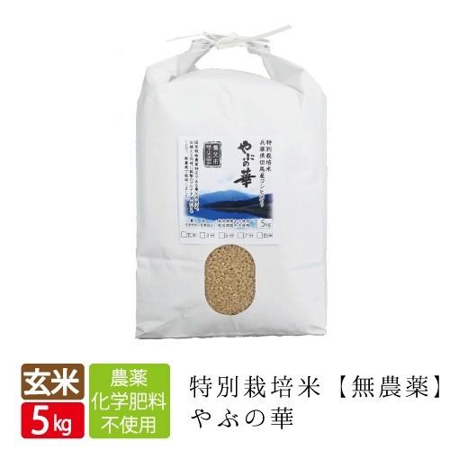 コシヒカリ 玄米 やぶの華 5kg 令和4年産